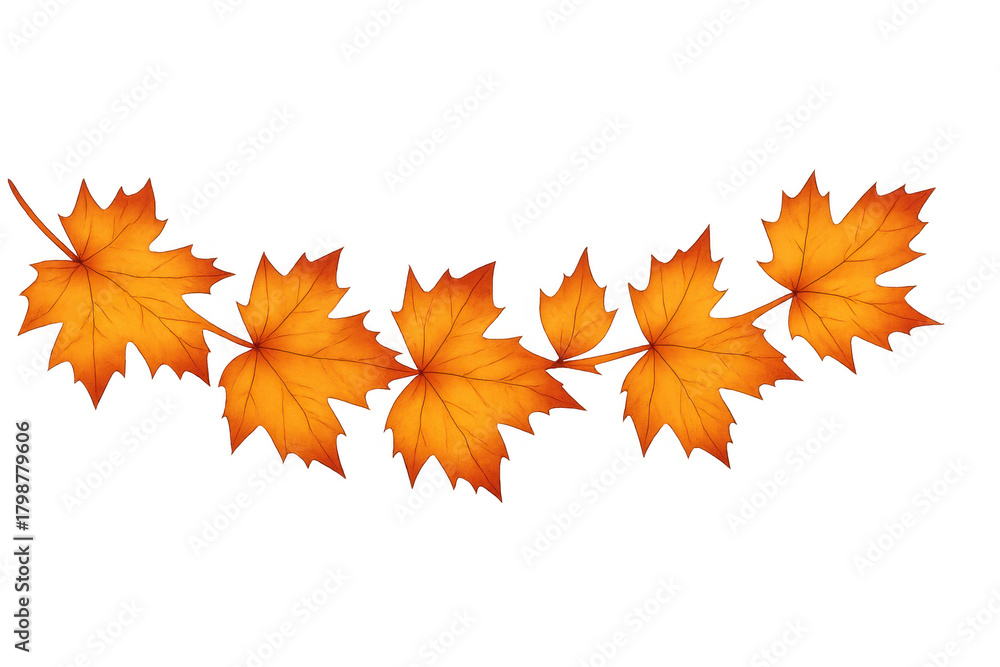 Fototapeta premium Autumn maple leaves creating a decorative border, showing change of season and fall foliage on transparent background