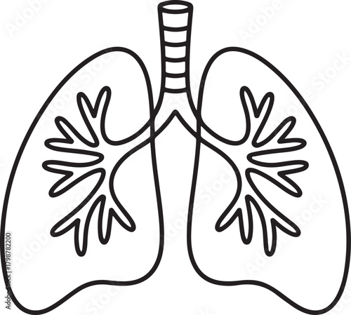Continuous line pair of lungs with bronchi illustration for medical and anatomical design