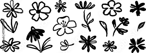 Hand drawn floral flower, leaf graffiti elements in brush paint vector black ink stroke doodle floral texture sketch spring pattern. Vector illustration