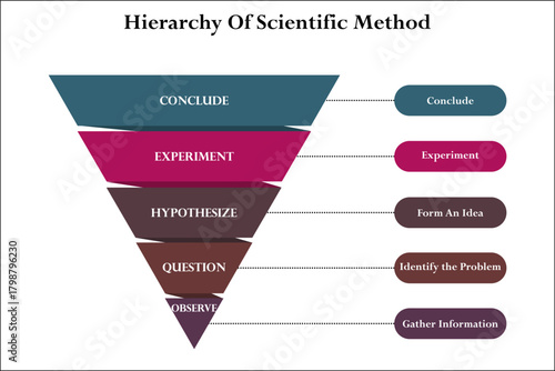 Hierarchy of Scientific Method. Infographic template with icons and description placeholder