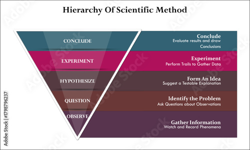 Hierarchy of Scientific Method. Infographic template with icons and description placeholder