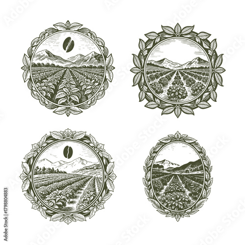 A classic set of four vintage engraving style illustrations depicting expansive coffee plantations in a mountainous landscape, framed by natural leaf wreaths