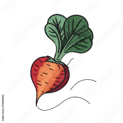 Hand drawn watercolor illustration of a single golden beet with green leaves isolated on white background