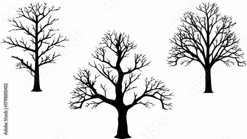 Striking bare tree silhouettes for autumn designs, winter projects, and nature-inspired crafts with classic charm, originally a scalable graphic