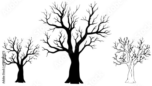 Striking bare trees create a dramatic winter silhouette, perfect for evocative designs, nature themes and seasonal projects with a stark, minimalist touch