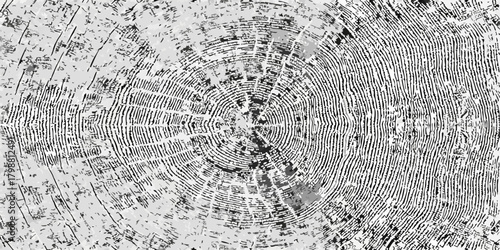 Abstract monochrome textured background of a stylized tree ring pattern with organic lines and distressed elements