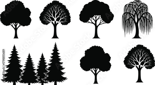 Collection of various tree silhouettes including pine, willow, and deciduous species, showcasing diverse botanical shapes, forest elements, natural landscape design, and illustration graphics