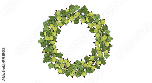 A vibrant, hand-drawn wreath of fresh green gooseberries and lush leaves, forming a decorative circle, perfect for summer designs.