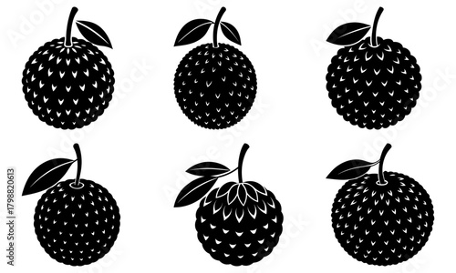 Collection of six black and white jackfruits with stems and leaves in varying orientations and styles