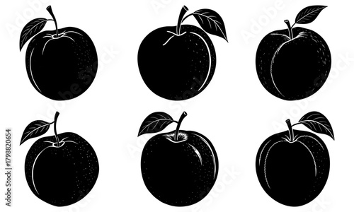 Illustration of six plums arranged in two rows with leaves and stems in black and white style