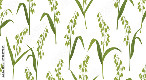 Fresh green oat plants form a vibrant seamless pattern, displaying their distinct grain heads and leaves against a clean white background.