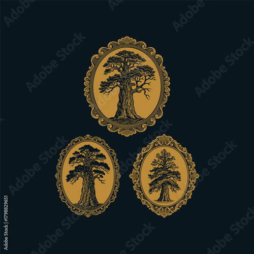 Giant Redwood (Sequoia) tree illustrations in vintage woodcut or engraving style. The old trees are framed within ornate, luxurious Victorian decorative oval borders