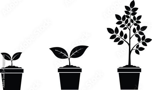 Silhouette illustration of plant growth stages in pots showing small sprout, young plant and mature tree symbolizing development, nature, sustainability and progress