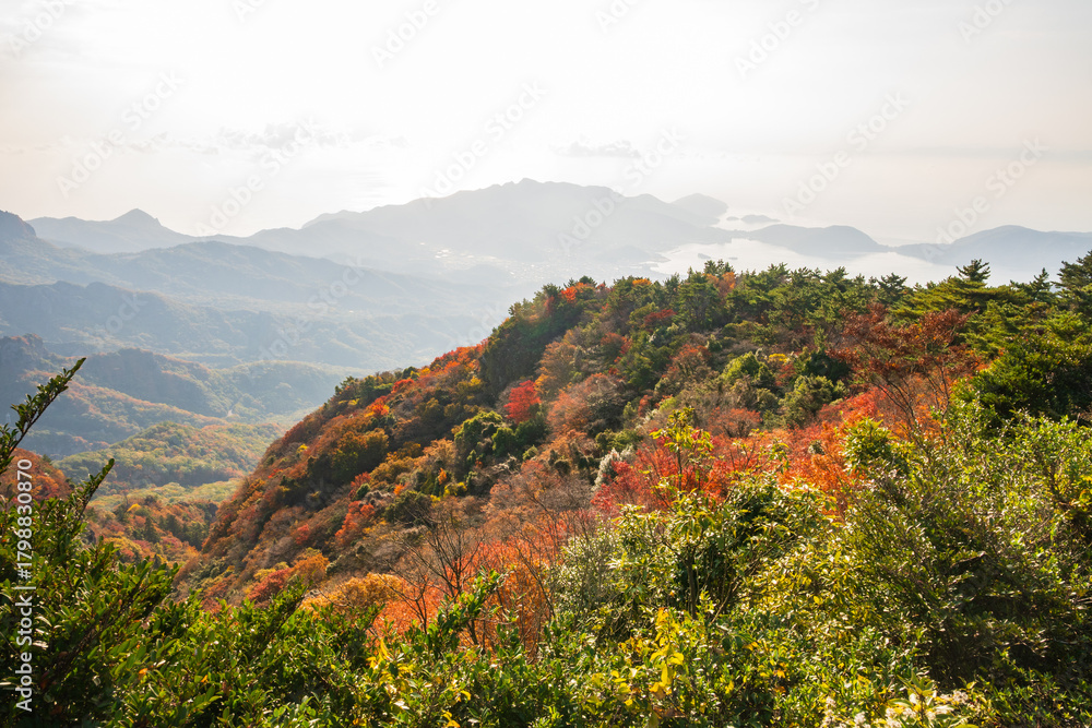 Obraz premium 日本の瀬戸内海のとても美しい秋の風景