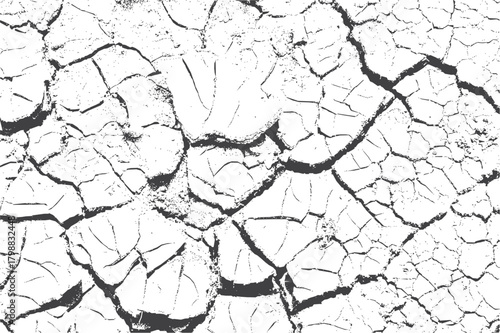 Large Natural Crack Texture with Organic Fracture Patterns and Depth