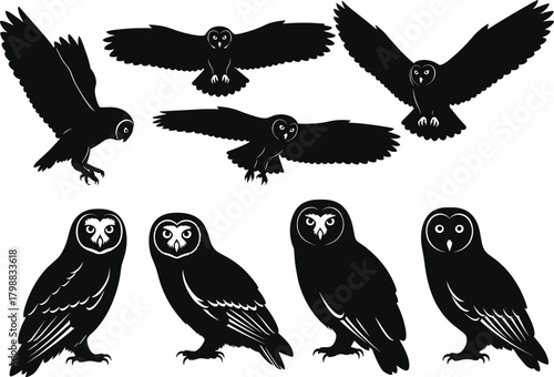 Large Collection of Owl Silhouettes in Standing and Flying Poses for Birdwatching, Wildlife, Wisdom Symbol, and Nature Graphic Design Vector