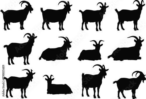Large vector set of goat silhouettes standing and lying down, depicting various livestock and farm animal poses isolated on white