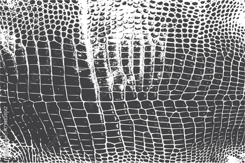 Realistic New Snake Skin Texture Closeup Pattern