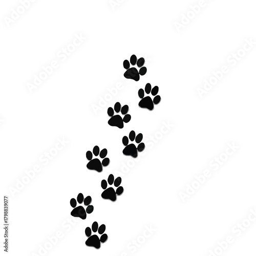 dog paw print