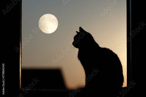 A silhouette of a black cat sits in front of a window, gazing at the full moon in the evening sky.