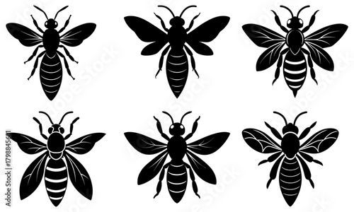 Collection of six stylized black and white wasp illustrations in various poses and wing configurations