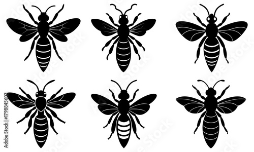 Illustration of six stylized wasps in black silhouette with wings and striped abdomens arranged neatly