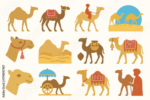 Camels Rajasthan India Desert Life Traditional Riding Illustration