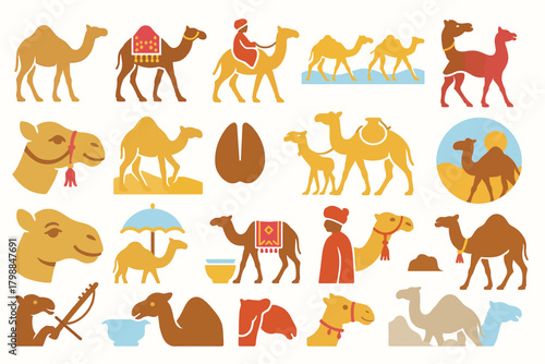 Camels Rajasthan India Desert Life Traditional Riding Illustration