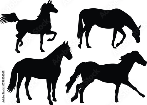 Horse Silhouettes Set in Various Poses