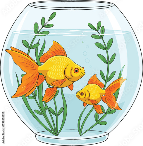Detailed vector illustration of two vibrant orange goldfish swimming happily inside a classic spherical glass fish bowl with green aquatic plants, symbolizing serenity, pet ownership, and simple home 