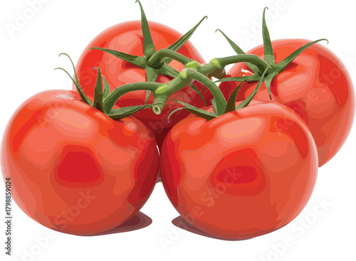 PrintA Bunch of Fresh Ripe Red Tomatoes on a Vine Isolated Vector Illustration for Healthy Food, Cooking, and Farm Produce Design.A Bunch of Fresh Ripe Red Tomatoes on a Vine Isolated Vector 