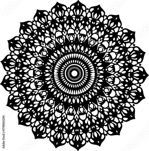 Intricate Ornamental Mandala Pattern