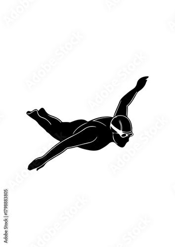 Flying Gliding or Diving Silhouette