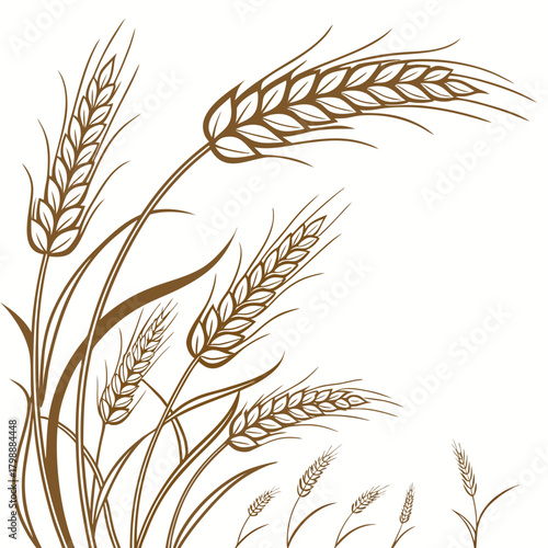 Stylized brown wheat stalks and leaves arranged in a decorative border on a white background
