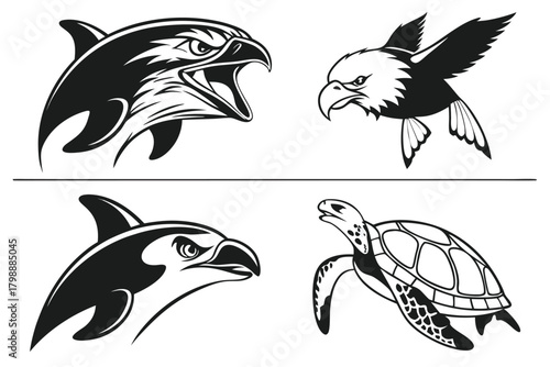 Dynamic Black and White Illustrations of Marine and Avian Wildlife dolphin killer whale