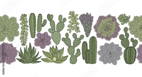 Seamless pattern of various succulents and cacti in pastel colors on a white background, concept for textile design, wallpaper and botanical illustration