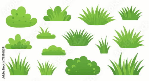 Collection of various green grass and bushes vector illustrations on white background, concept for garden landscaping, background elements and environmental design