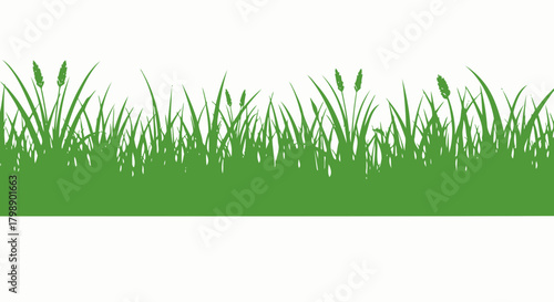 Green grass vector illustration on white background, concept for lawn care, natural backdrop and summer design