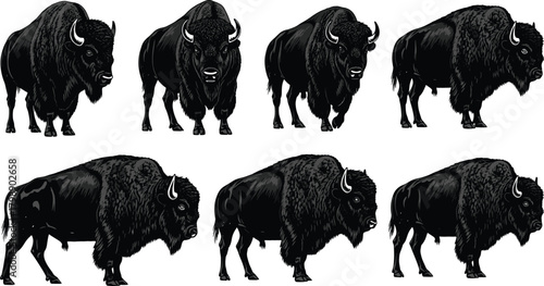 American bison silhouette vector, black wildlife icons, muscular animal graphics, prairie beast clipart, nature illustration, strong posture design set
