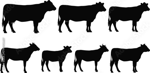 Cow silhouette vector, farm animal icons, black cattle graphics, livestock posture clipart, rural species illustration, standing cow shape design