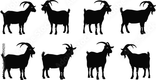 Goat silhouette vector, farm animal icons, black goat shapes, horned livestock clipart, rural species illustration, standing goat posture graphics