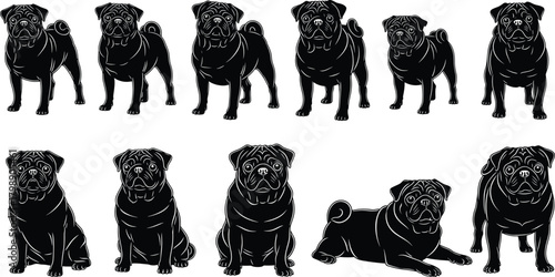 Pug silhouette vector, dog pose icons, black pet graphics, sitting and standing pug clipart, breed illustration, canine posture design