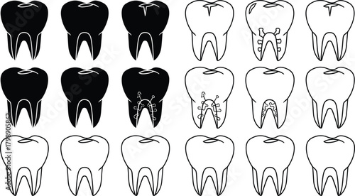 Tooth silhouette vector, dental anatomy icons, black and white tooth graphics, oral health clipart, medical illustration, dentistry condition design