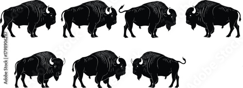 Vector collection of bison silhouettes, 7 distinct poses, featuring American buffalo side profiles, isolated on white background for wildlife design