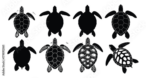 Collection of sea turtle silhouettes and outlines, isolated on white background
