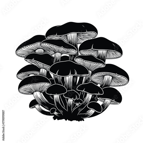 Vector illustration of black and white illustration of a cluster of mushrooms