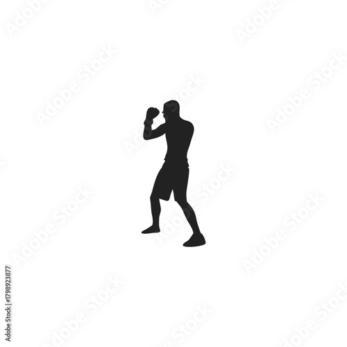 Silhouette of a boxing athlete