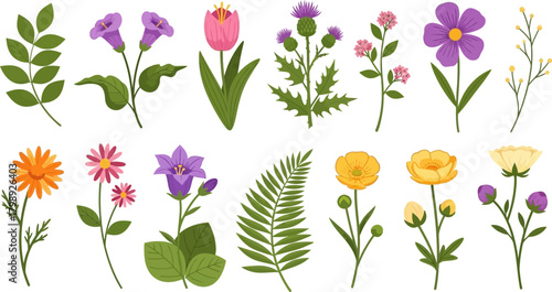 Wallpaper Mural Colorful Spring Botanical Flower Elements Set Torontodigital.ca