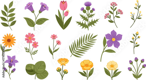 Assorted Flat Design Botanical Flower Collection