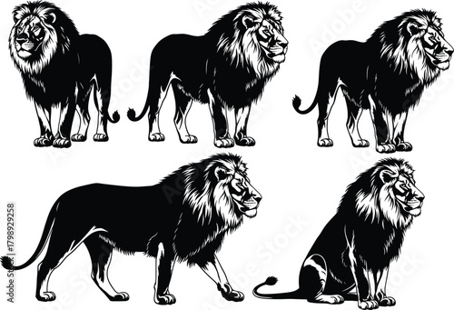 Collection of powerful lion silhouettes in standing, walking, and sitting poses, showcasing majestic wildlife behavior and detailed big cat illustration for vector design use